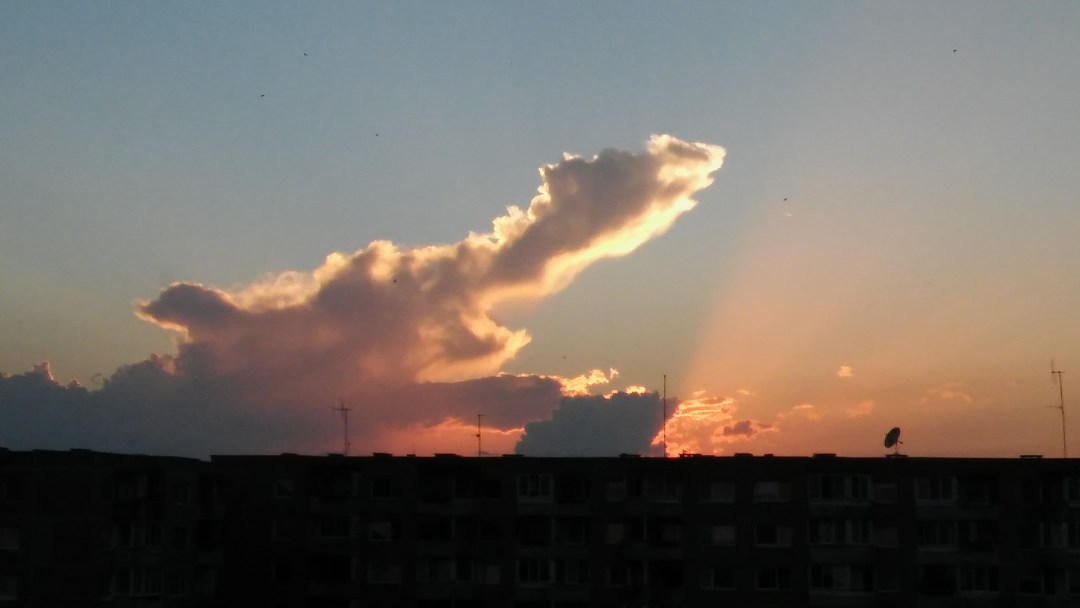 Dangaus ženklai. D. Janavičienės nuotr.