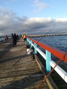 Žvejoti - tai technologija, o būti gamtoje - vertybė. D. Janavičienės nuotr.