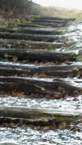 Į Liškiavos piliakalnį...