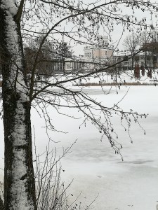 Tobula žiema. D. Janavičienės nuotr.